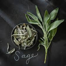 Sage Herb
